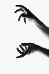 Monochrome image of beautiful hands in different motion isolated on white background. Concept of feelings, community, care, support, symbolism, art