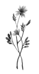Watercolor Florwer Painting on white