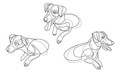 Funny dog linear vector illustrations set isolated, Jack Russel Terrier pet playful and cute, adorable dog.