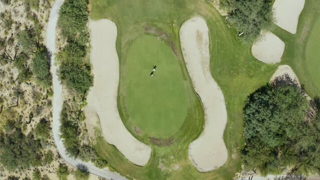 Two golfers putting on the green, top-down spin. Desert Cactus Majave Sonoran southern luxury golf course. Shot on 4k DJI Mavic 2 Pro. Starr Pass Golf Club Tucson, Arizona United States