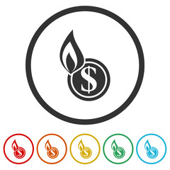 Burning dollar icon. Set icons in color circle buttons