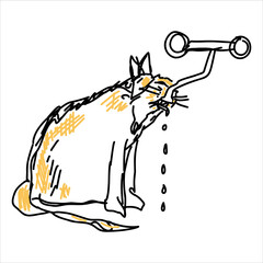 Vector illustration of a  cat drinking a water with a liner isolated on a white background. For printing on clothes, paper, logo, icon