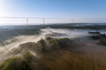Wind energy mills at dawn in misty landscape in Finland - 526709277