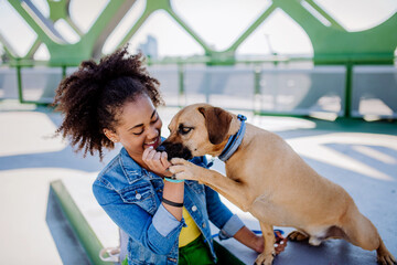 Multiracial girl sitting with her dog outside in the bridge, training him, spending leisure time together. Concept of relationship between dog and teenager, everyday life with pet.