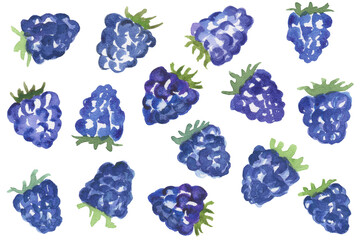 Set of watercolor blackberries isolated on white background.