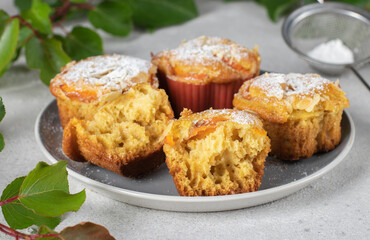 Homemade muffins with apricots and almonds sprinkled with powdered sugar on gray plate
