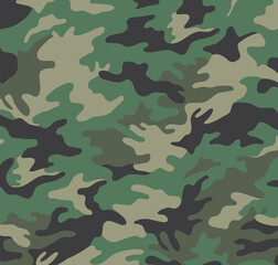 Camouflage pattern © kaimar
