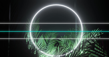 Image of communication lines transferring data and white neon ring, with palm leaves on black