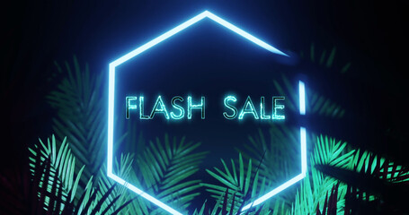 Image of flash sale text and hexagon in blue neon, with palm leaves on black background - Powered by Adobe