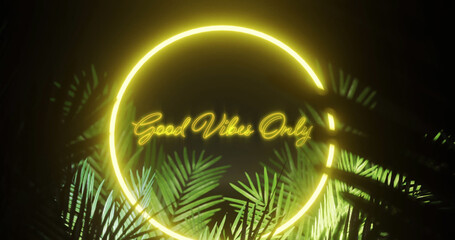 Image of good vibes only text over neon shape and leaves on black background