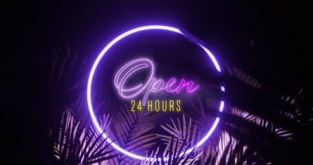 Image of open 24 hours text over neon shape and leaves on black background