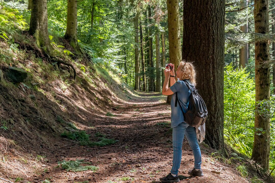 A blonde woman photographs the beauties of the Acquerino Cantagallo nature reserve, Italy