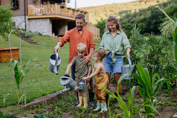 Farmer family watering vegetable garden together in summer.