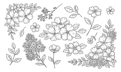 花の装飾イラスト, フレームと飾り, 植物の手描き挿絵, 黒い線画.