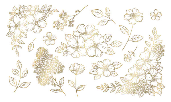 花の装飾イラスト, フレームと飾り, 植物の手描き挿絵, ゴールドの線画.
