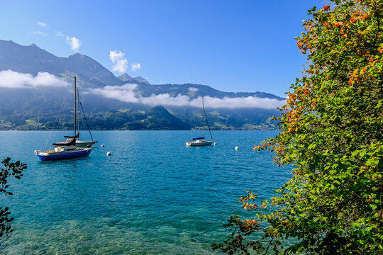 Thunersee, Seeufer, Boote, Segelschiffe, Faulensee, Interlaken, Unterseen, Leissigen, Wassersport, Seerundfahrt, Schifffahrt, Niesen, Alpen, Morgennebel, Sommer, Berner Oberland, Schweiz