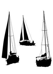 Sports sailboat on sea water. Isolated object on white background