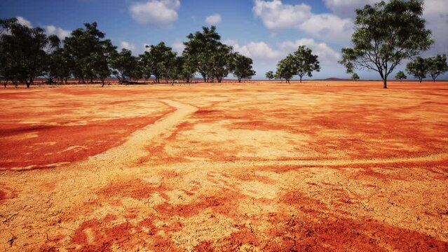 badly cracked earth under a scorching sun