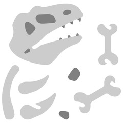 Dinosaur bone fossil