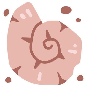 Ancient shell fossil