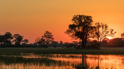 Sunset. Okavango Delta. Botswana