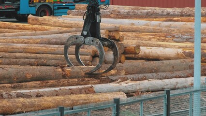 Heavy Machinery Industrial Grappler Loader Stacking Long Logs of Tree Trunk Wood at Lumber Mill Outdoor Warehouse Storage