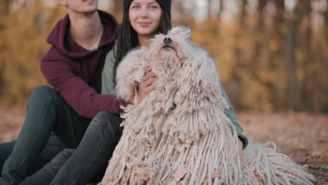 Couple Spending Leisure With Dog. Young happy couple petting their pet while sitting on fallen leaves. Hungarian Shepherd Dog Buli breed in nature.