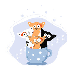 cats in cup blue paws white