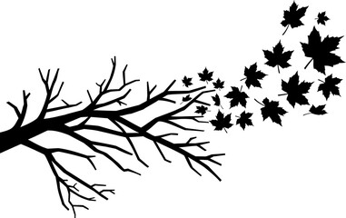 Branch with falling leaves png illustration
