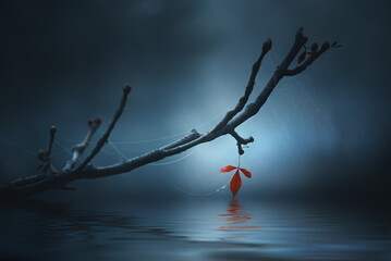 A dry lone red leaf hung on a branch above the water on a blue background. Reflection in water. The...