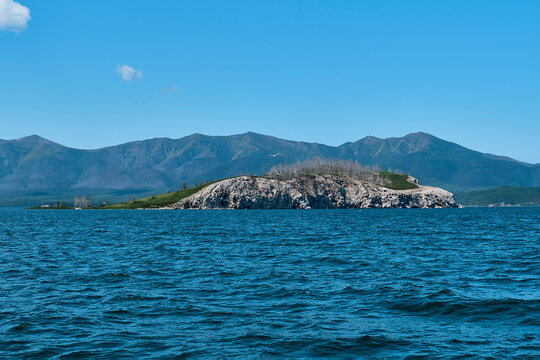 Chivyrkuisky Bay of Lake Baikal, Russia. Malyy Kyltygey island. Nesting place for cormorants.