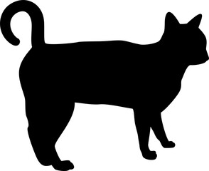 Cat animal png illustration
