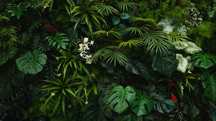 Fototapeta na wymiar Creative nature green background, tropical leaf banner or floral jungle pattern concept. 