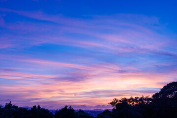 木のシルエットと夕方の空