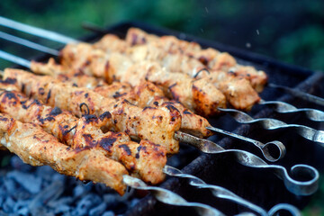 Delicious meat skewers on brazier during picnic