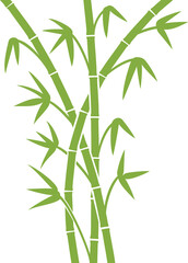 Fototapeta na wymiar Green bamboo stems png illustration