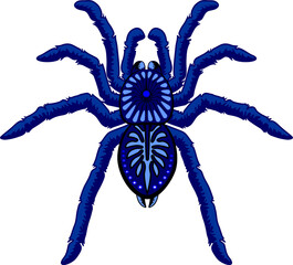 Araignées bleues Halloween Tarantula Arachnid Animal élément isolé
