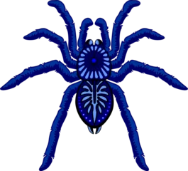 Tableaux ronds sur aluminium Dessiner Araignées bleues Halloween Tarantula Arachnid Animal élément isolé