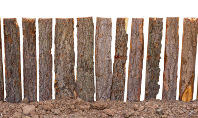 Isolates of fence poles made from tree bark slot is located on the ground floor, simple insecurity.