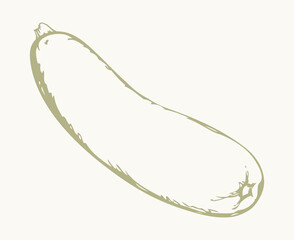 Zucchini gourd. Vector drawing icon