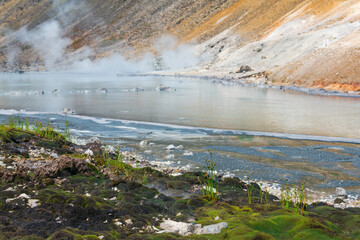 extremophilous vegetation on the shore of a hot mineralized volcanic lake, reminiscent of the first...
