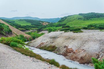 Fototapeta premium geothermal mineralised stream among the banks of volcanic ash and tephra in the caldera of Golovnin volcano, Kunashir island