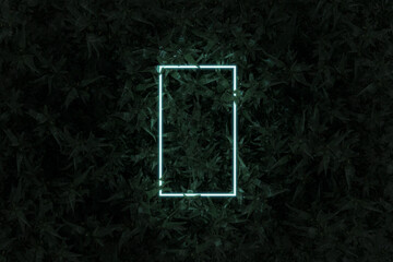3D rendering of lighten neon rectangular shape above corn plants. Flat lay of minimal nature style concept
