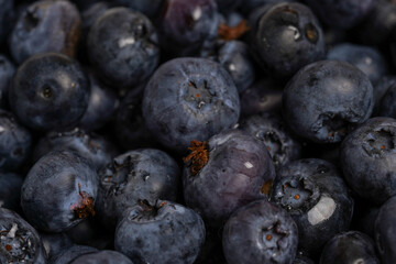 Fresh blueberry background. Texture blueberry berries close up
