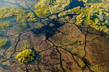 Aerial view of Okavango Delta. Botswana