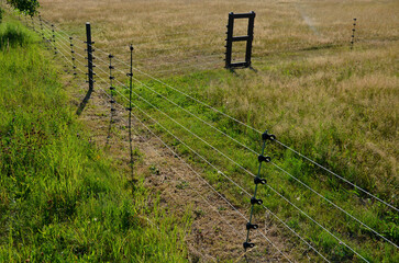 fencing with barrier-free access for seniors and the immobile. safari zoo with a large paddock for large dangerous mammals of Przewalski's horse. electric fence, tension spring, sheeps, meadow, alley - obrazy, fototapety, plakaty