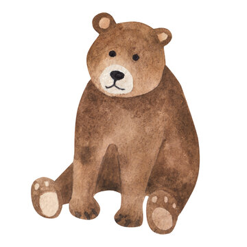 Brown bear sitting, watercolor illustration