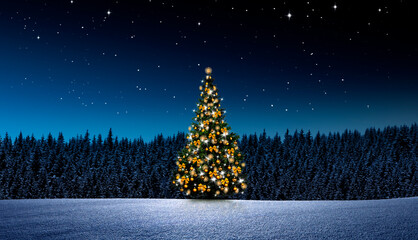 Weihnachtsbaum bei Nacht