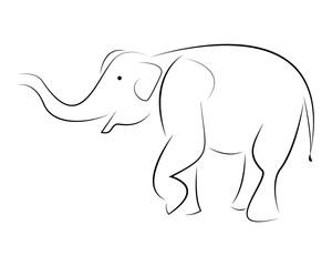 Elephant in doodle style on white background