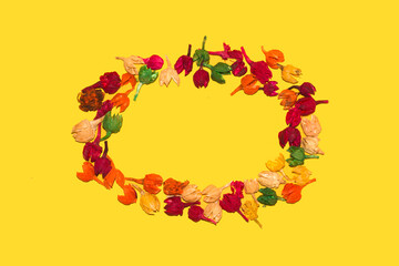 dry potpourri frame in ellipse shape on yellow background, flat lay, copy space
